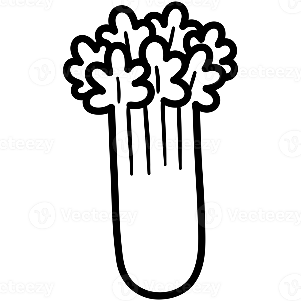 Celery veggies doodle png