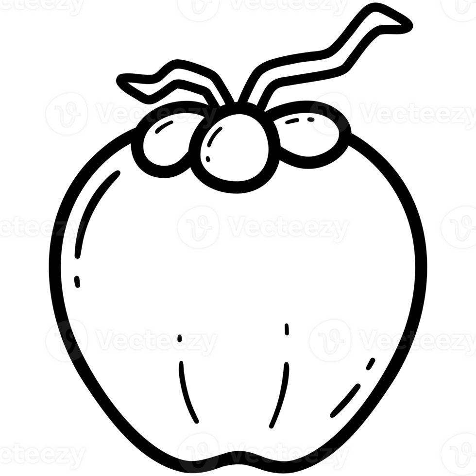 fresco coco rabisco png