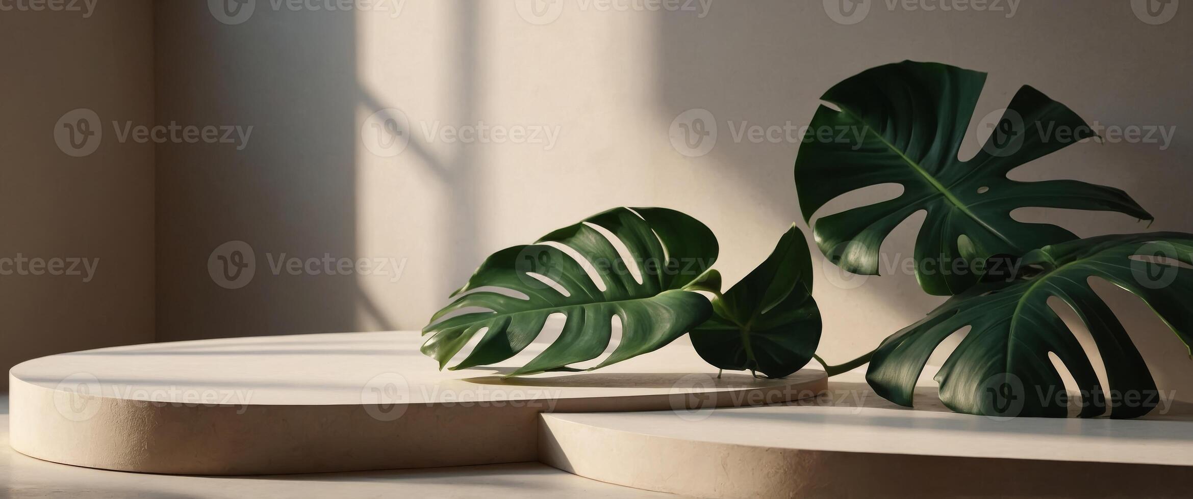 Geometric podium with monstera leaf and harsh shadows Minimal display for cosmetic and product presentation. photo