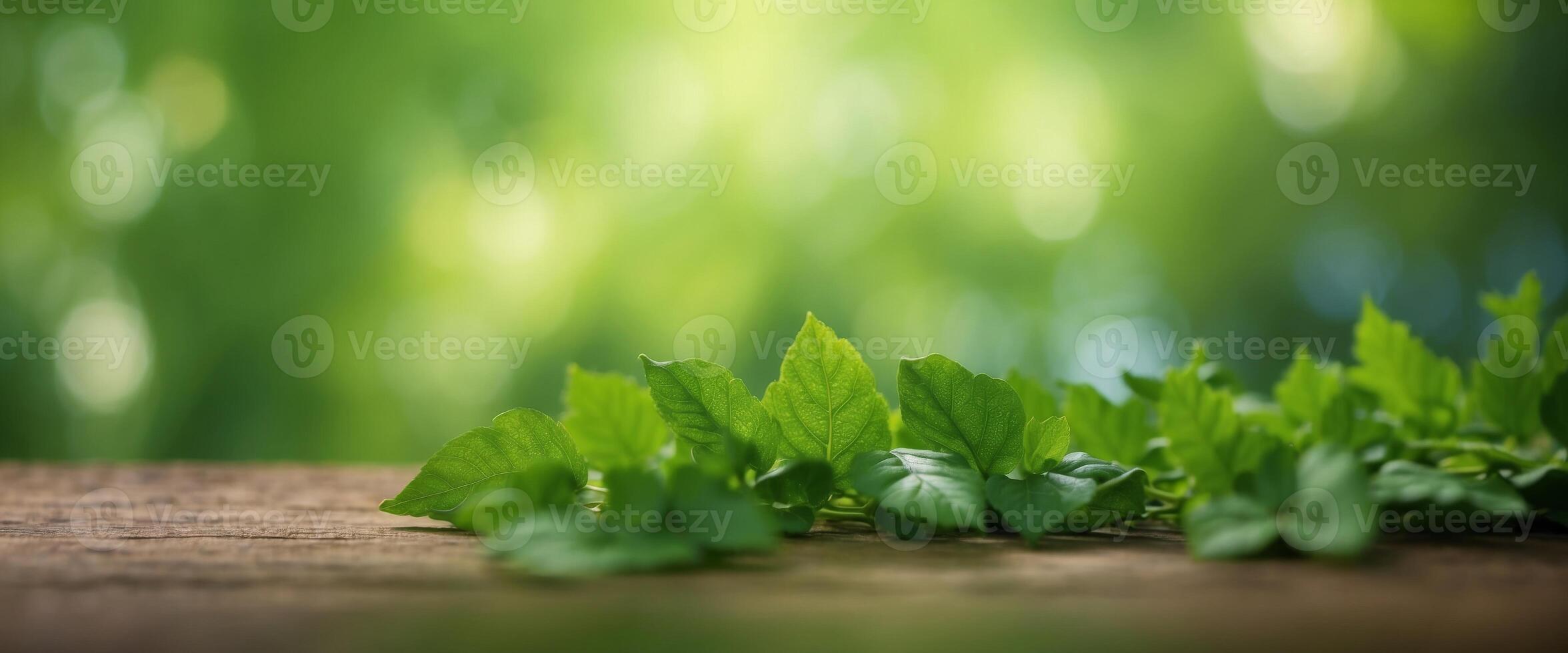 Healthy green bio background with blurred foliage, sunlight, and copyspace for text or ads. photo