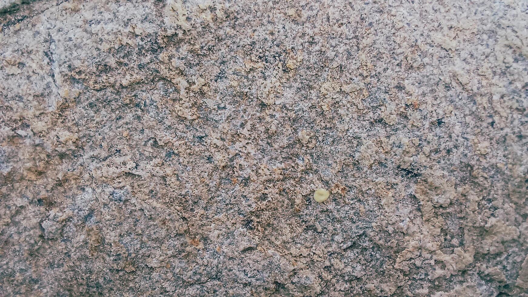 Rough, grey, dark harsh and high contrast granite stone texture background. A close-up of the surface of abstract natural rock. Natural Marble stone wallpaper. photo