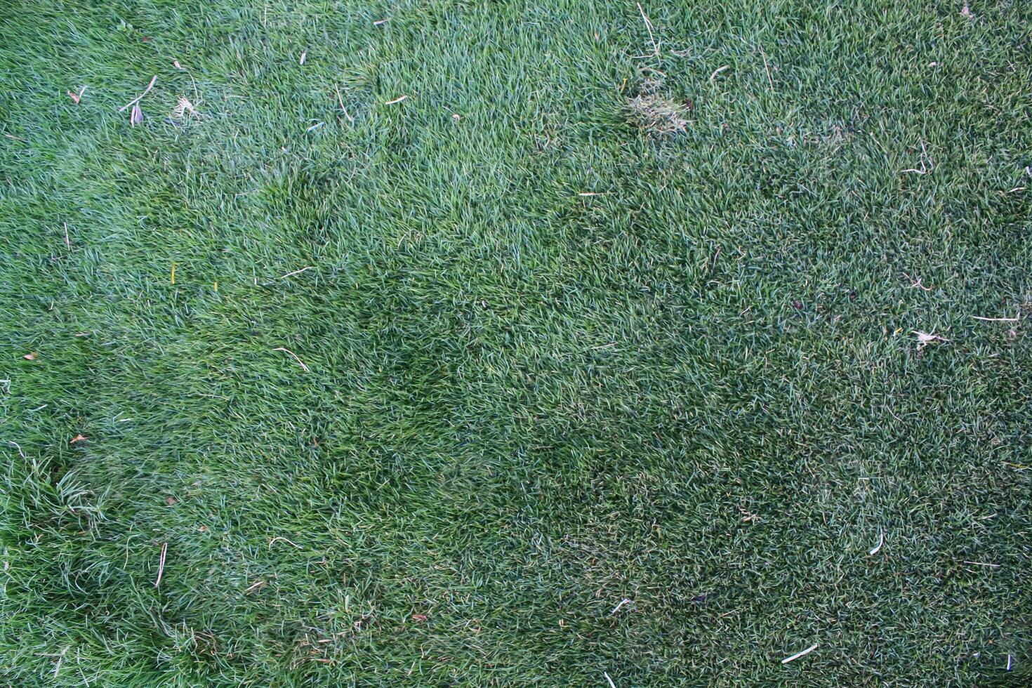 Green grass field or lawn. football ground green grass. seamless texture or background of ground grass. photo