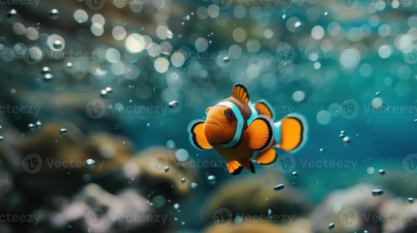 Nemo's butterflyfish in vivid coral reef habitat. photo