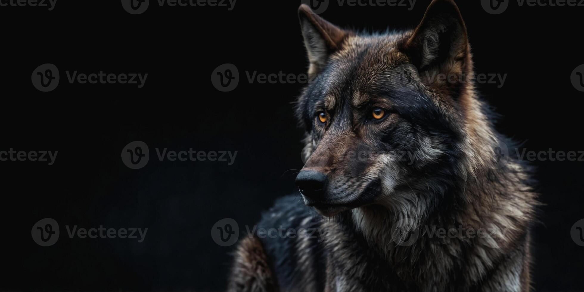 Template of black wolf with a black background. photo