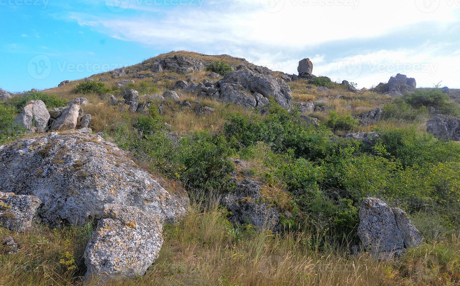 Shell stones and rocks on the territory of Kazantip, steppe landscape with specific flora and fauna, eastern Crimea photo
