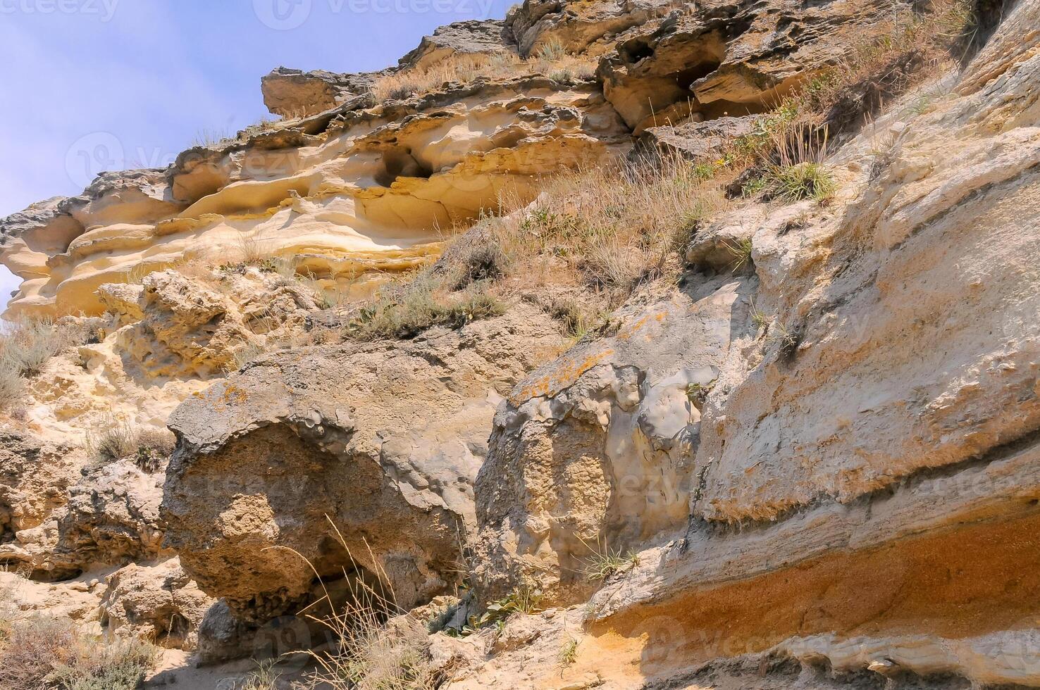 Weathering and destruction of shells of extinct mollusks in the Crimea photo