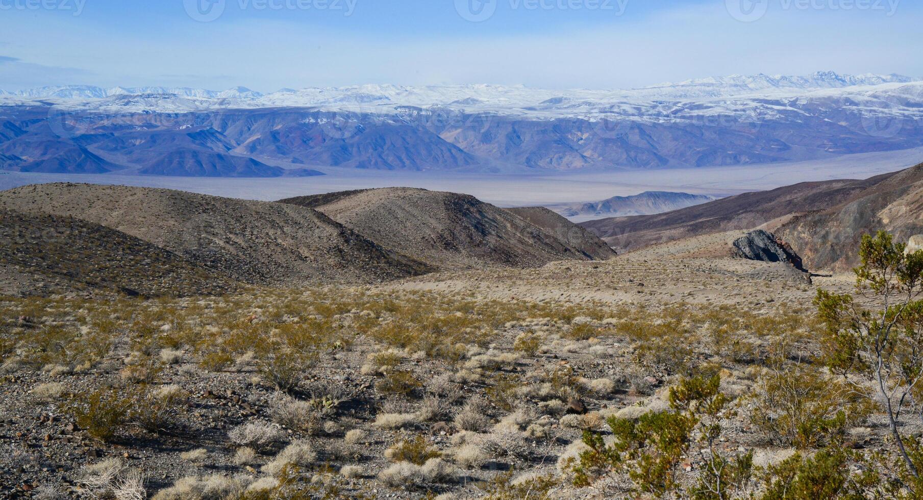 Landscape of a valley overgrown with desert vegetation and cacti in the rock desert in California, mountains in the background photo