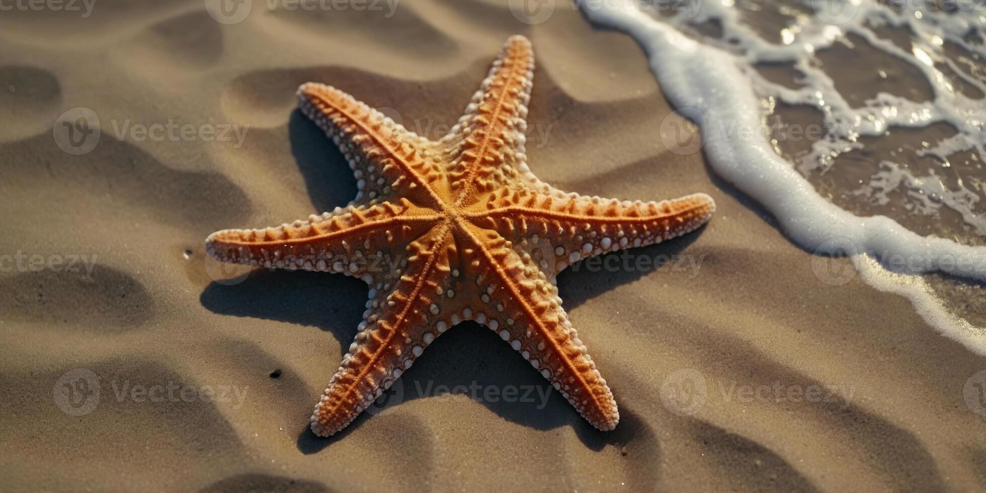 Top view starfish on sand and sea beach, Summer holiday vacation concept. photo