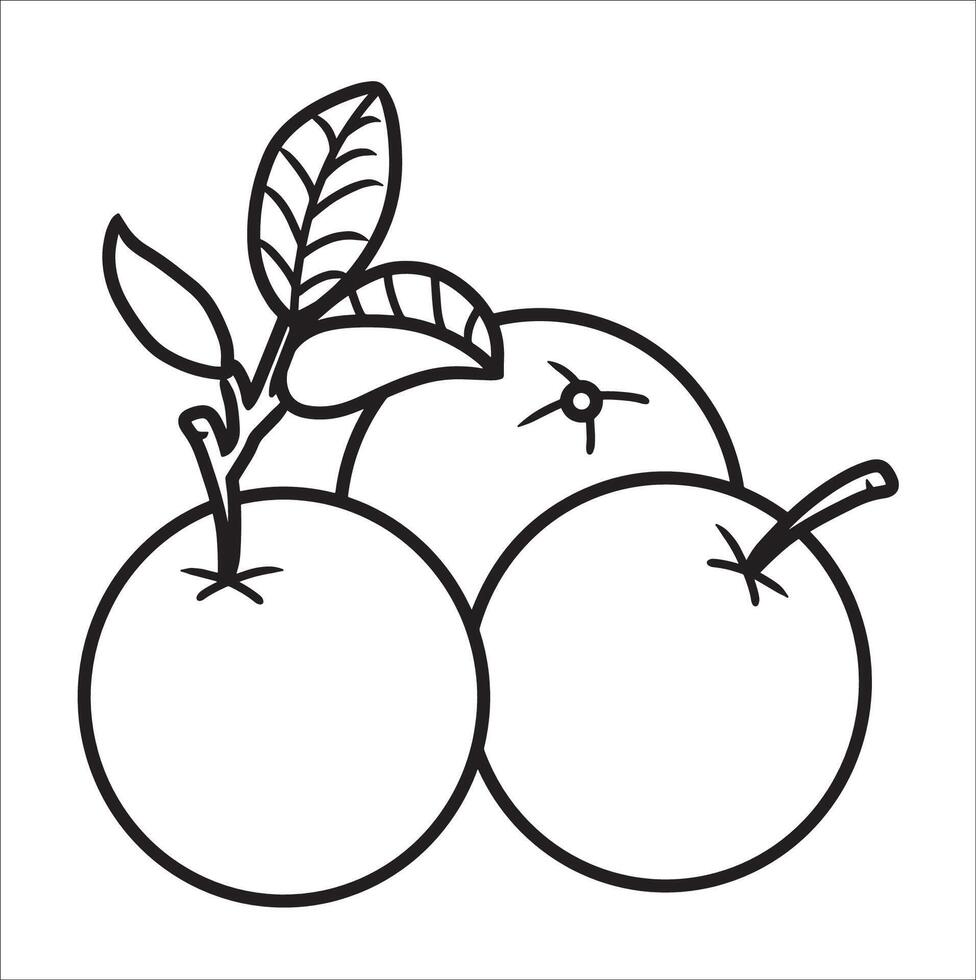 Orange Sketch Fruit vector
