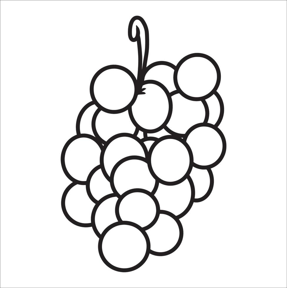 Grape Fruit Sketch vector