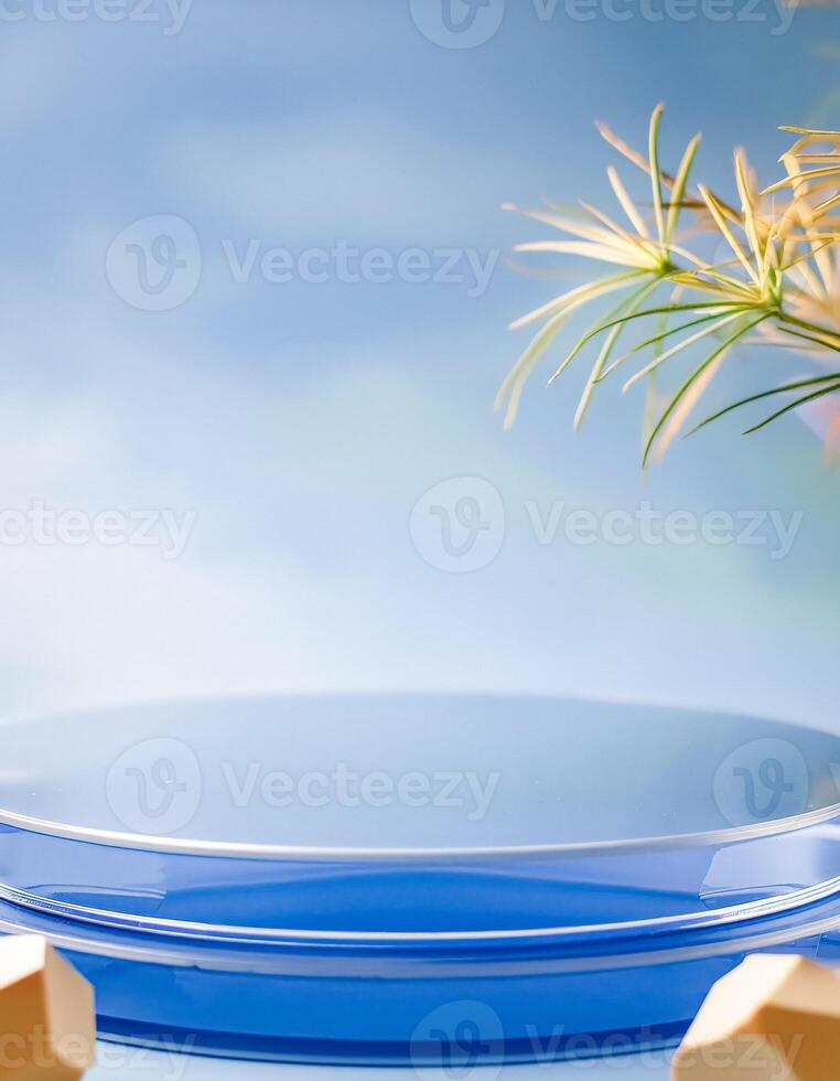 Blue Product Display Podium with Geometric Shapes and Plant photo