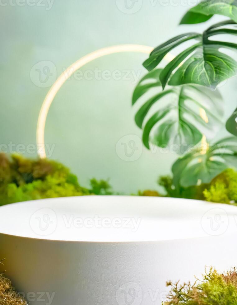 Minimalist Product Display with Green Foliage and White Platform photo