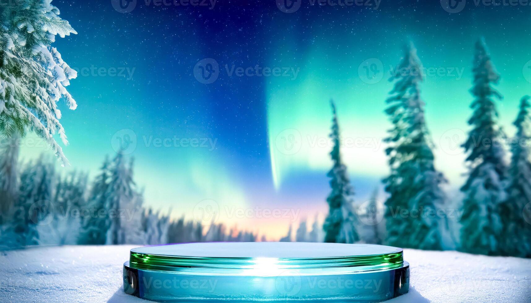 Winter Wonderland with Glass Platform photo