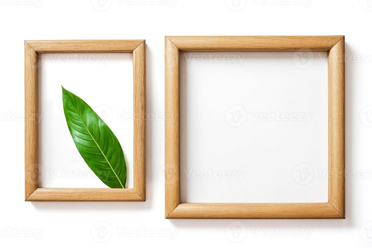 Wooden Frame with Green Leaf photo