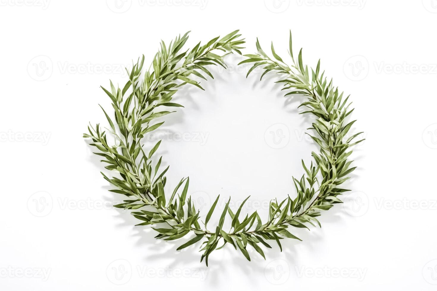 Green Leaves Frame on White Background photo