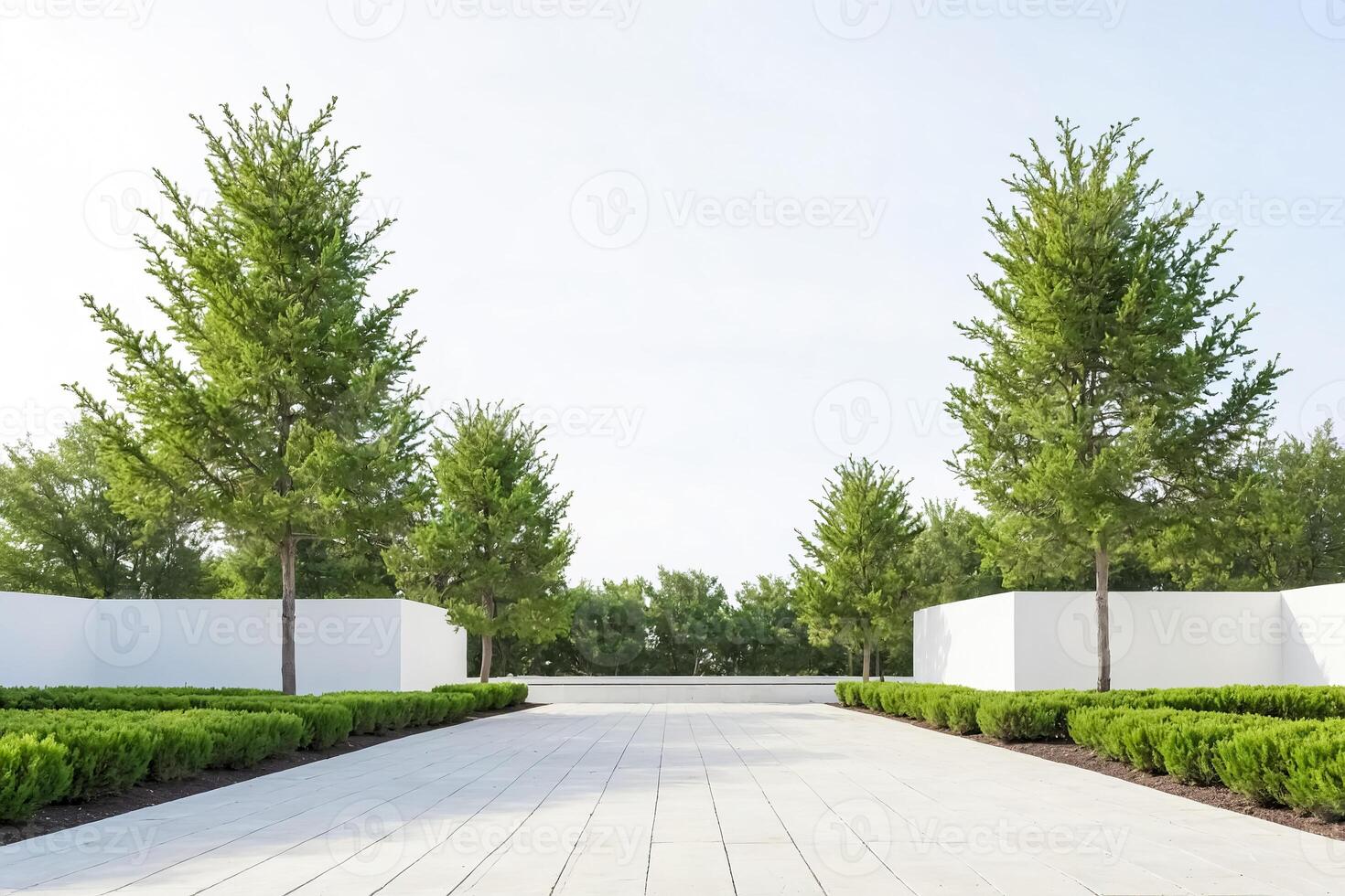 Modern Landscape with White Walls and Green Trees photo