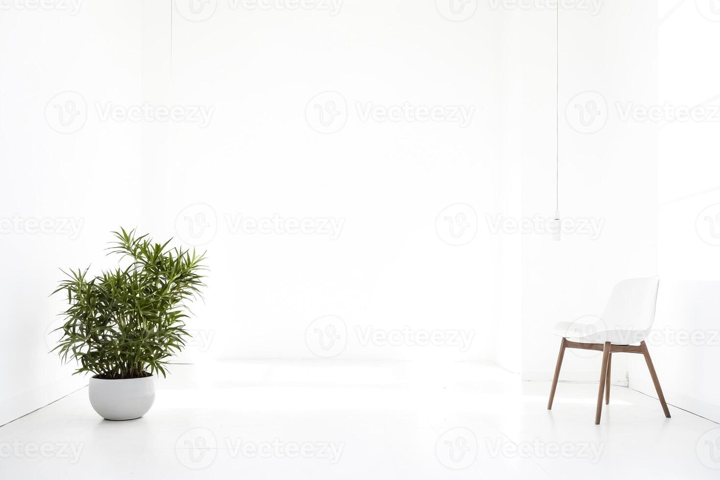 Minimalist White Room with a Single Chair and Plant photo