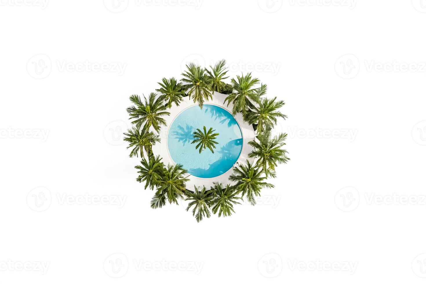 Aerial view of a round swimming pool surrounded by palm trees photo