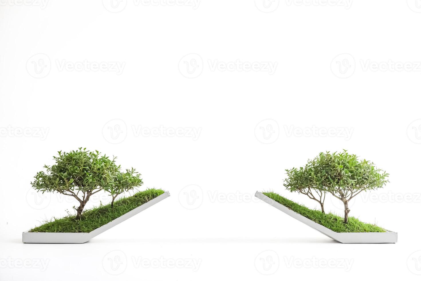 Two Small Trees in Geometric Planters on White Background photo