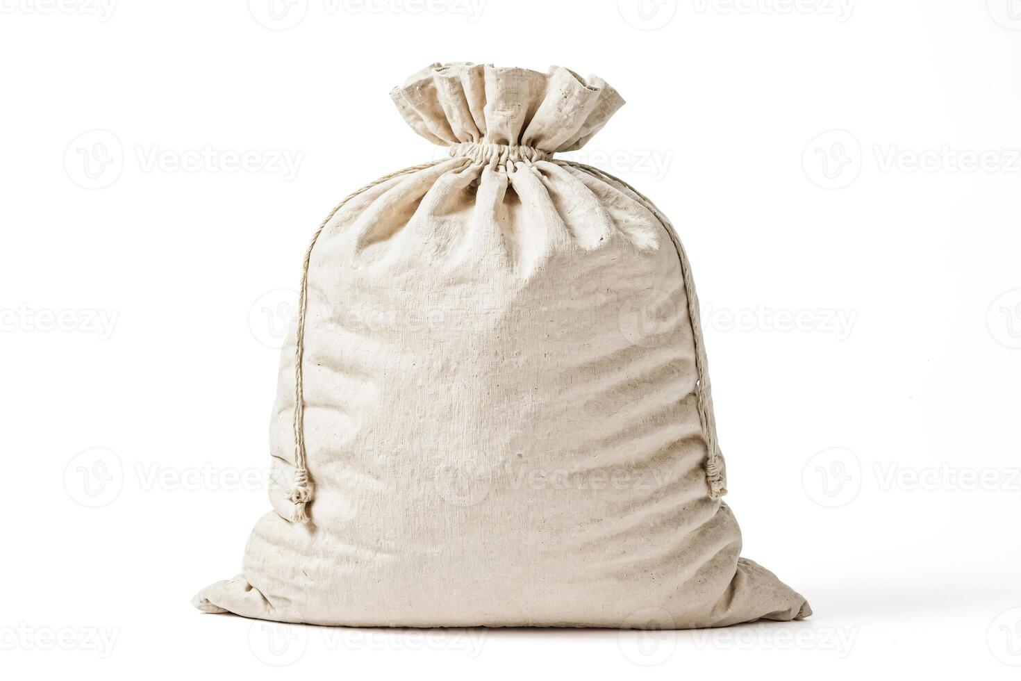 Empty Canvas Bag Isolated on White Background photo