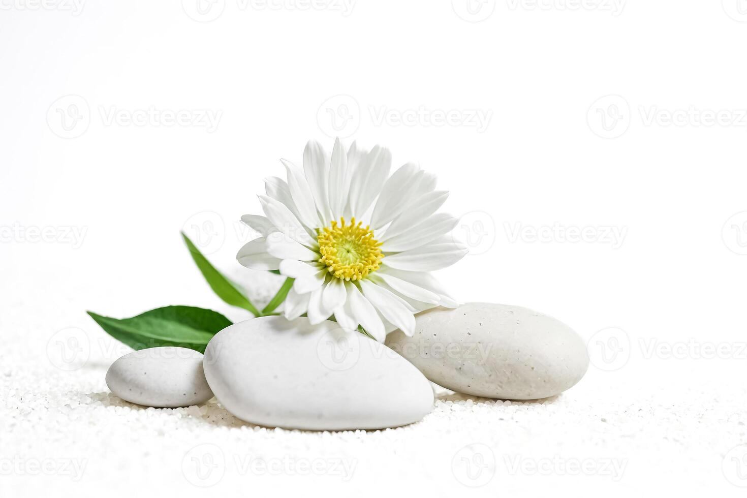 White Flower and Stones on White Sand photo