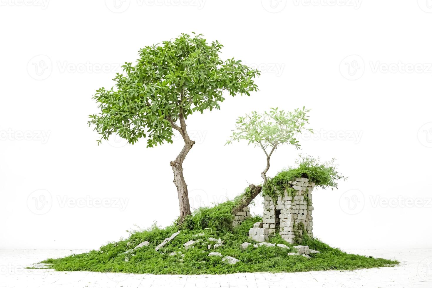 Lush Greenery Overgrown Stone Ruins photo
