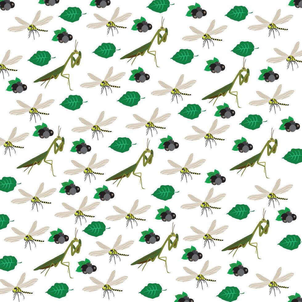 cute dragonfly, praying mantis with elderberries and leaf as a pattern background vector