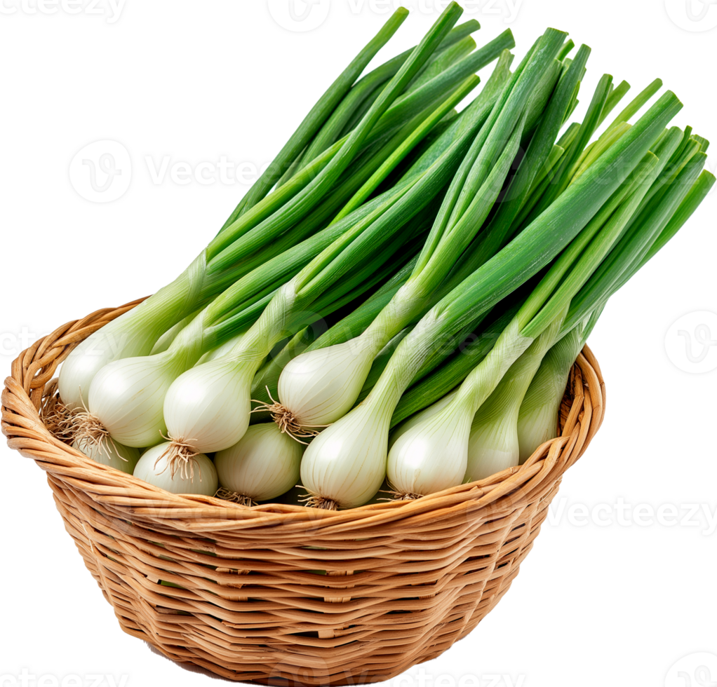 Spring Onion isolated, Green Onion vegetable Clipart, Pile of Green Onion in a basket illustration png