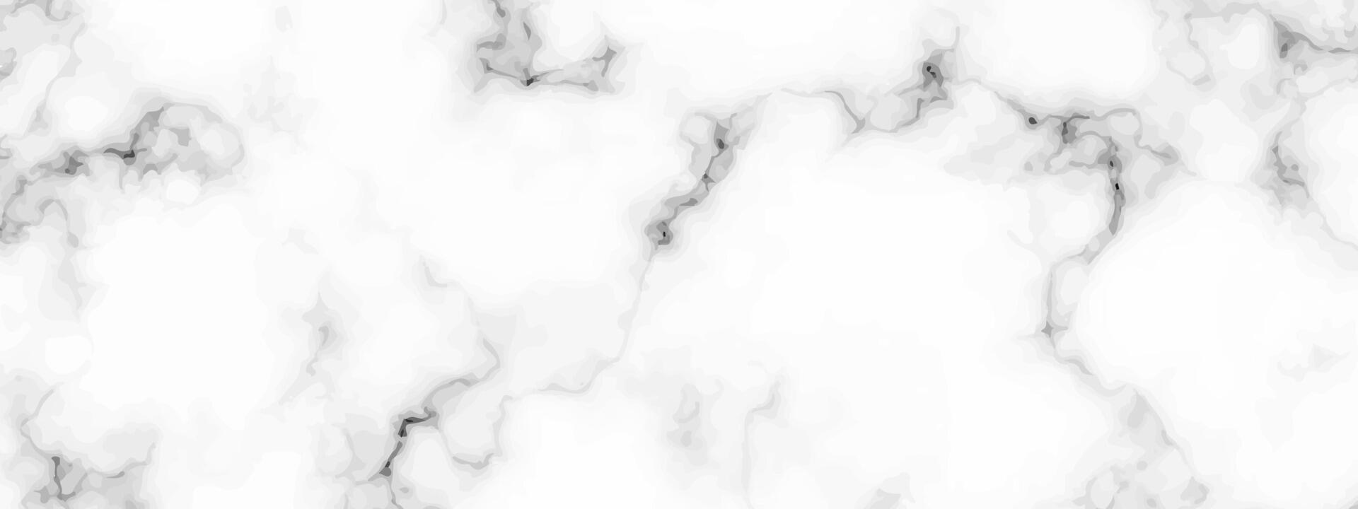 White marble texture background vector