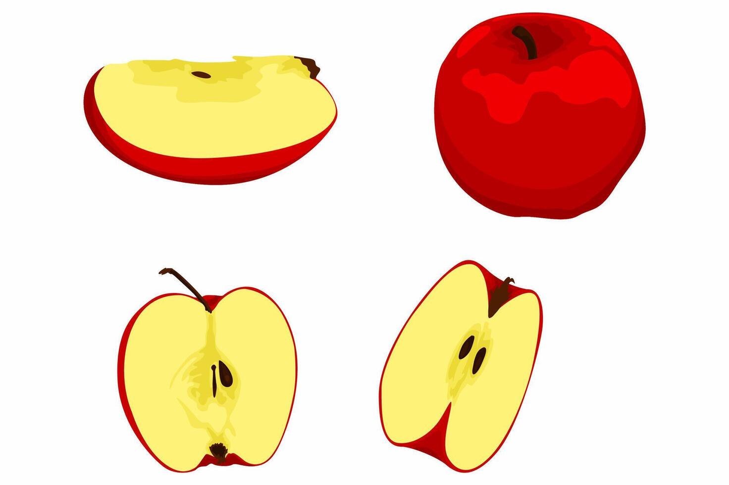 Set Of A Slice of Fresh Red Apple vector
