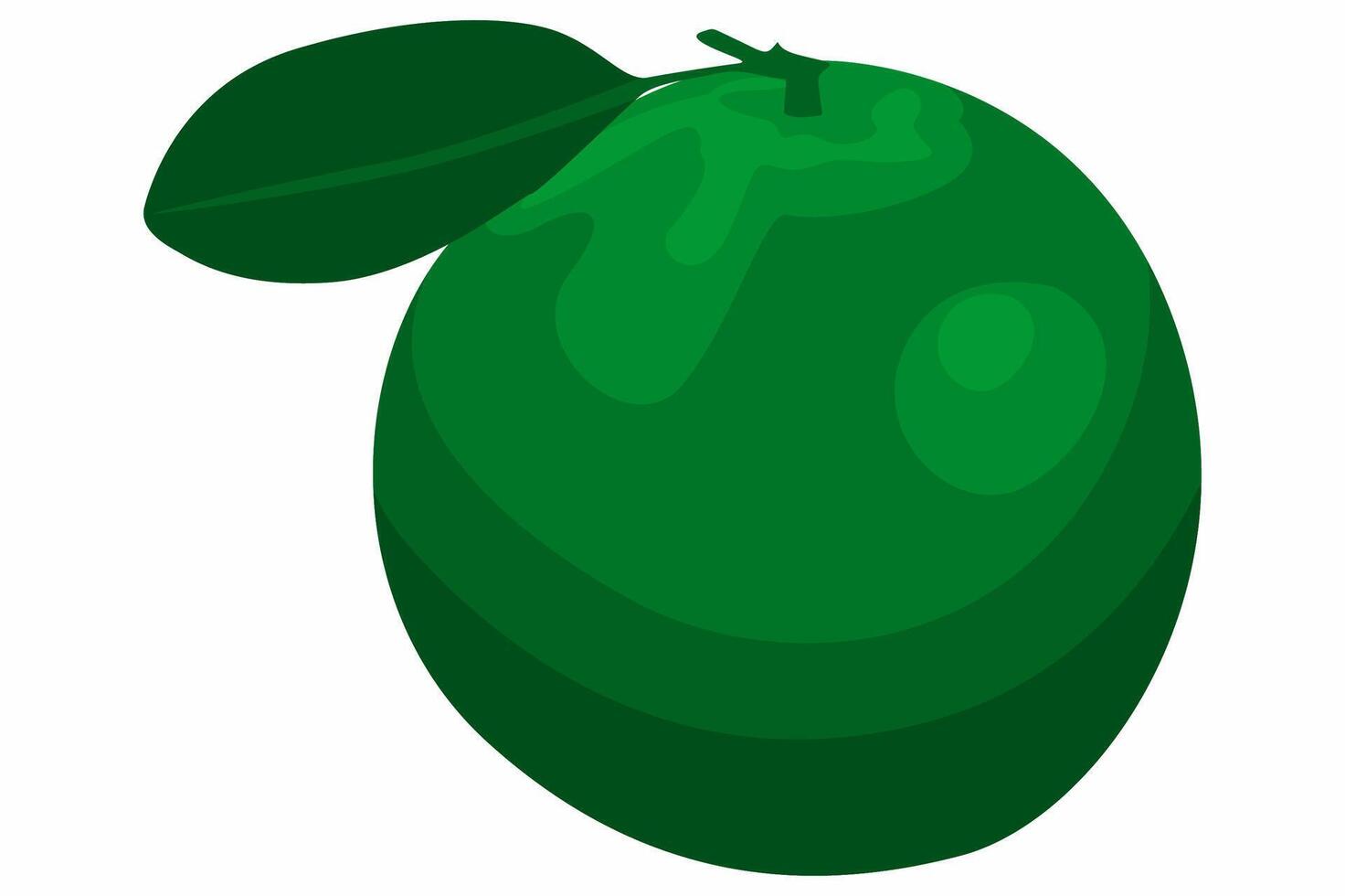A Fresh Orange Fruit vector