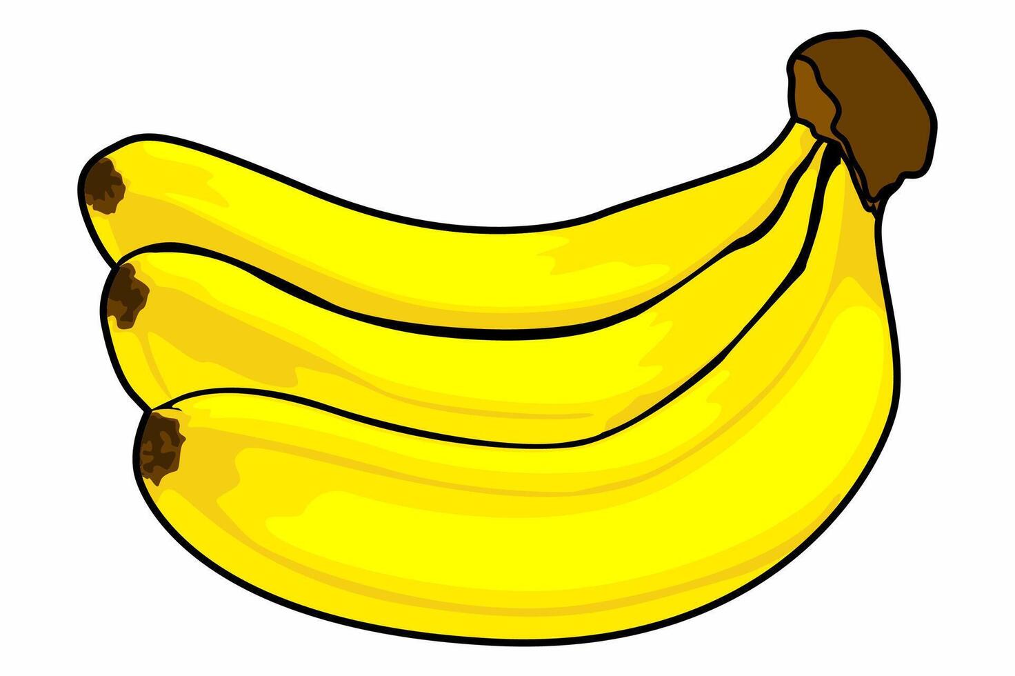 Fresh Ripe Banana Fruit vector
