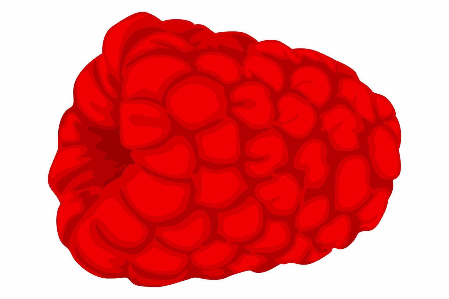 A Fresh red berry fruit vector