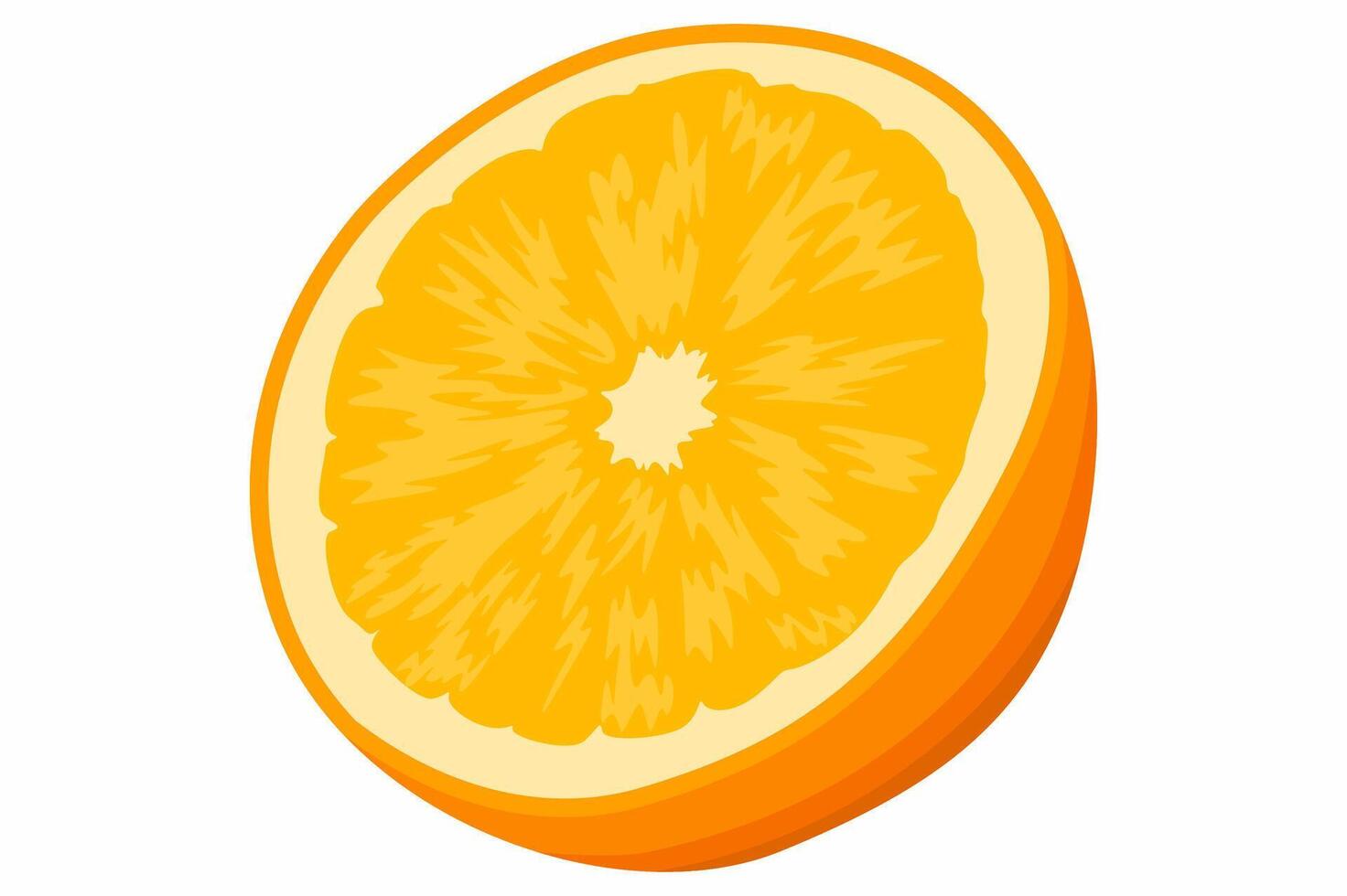 A Slice of Fresh Orange Fruit vector
