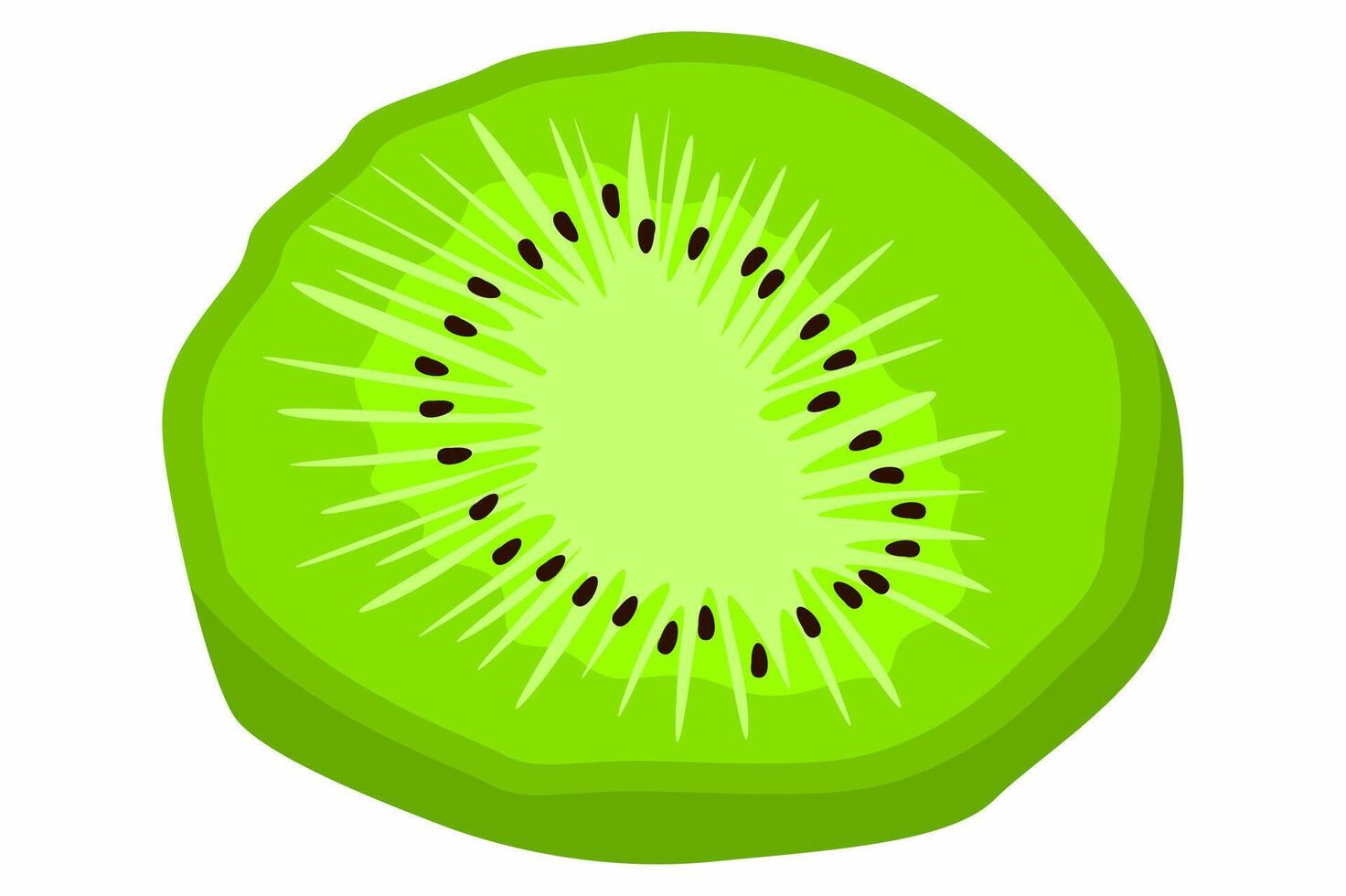 A Slice of Fresh Kiwi Fruit vector