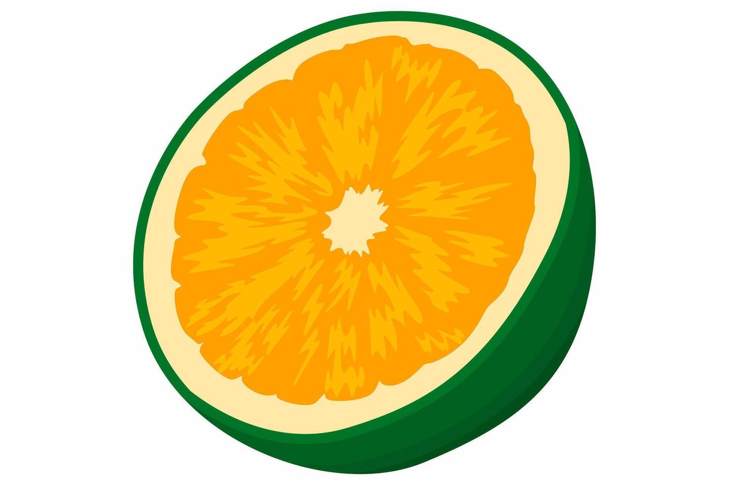 A Slice of Fresh Orange Fruit vector