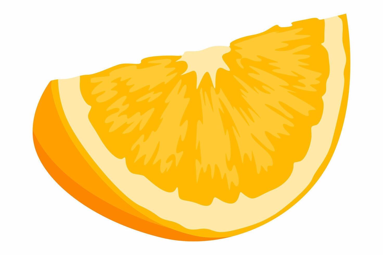 A Slice of Fresh Orange Fruit vector
