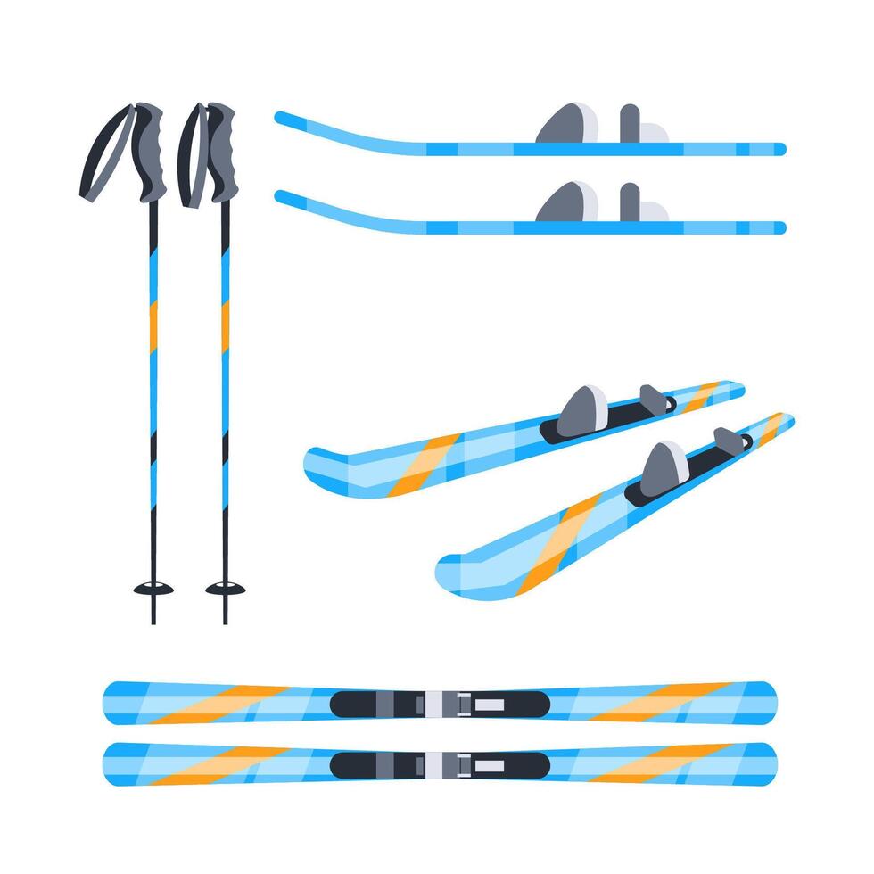 Set of different types of skis and ski poles for winter sports vector