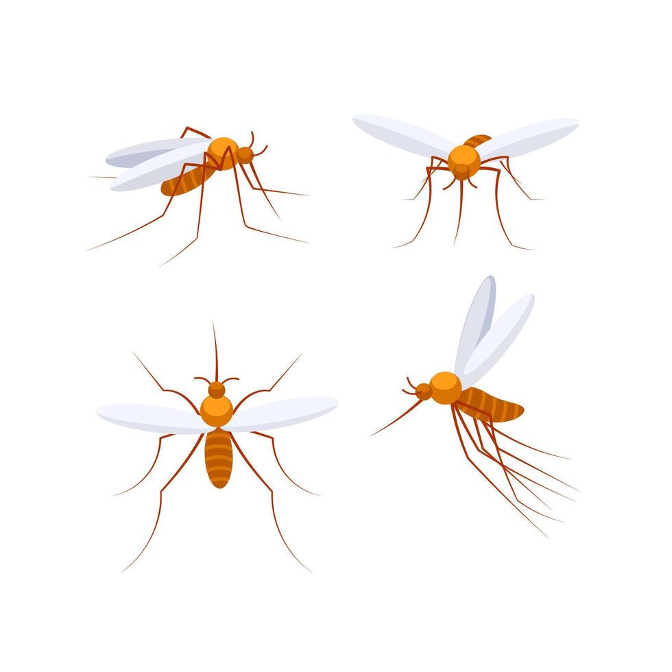 Four flying mosquitoes spreading malaria and other diseases vector