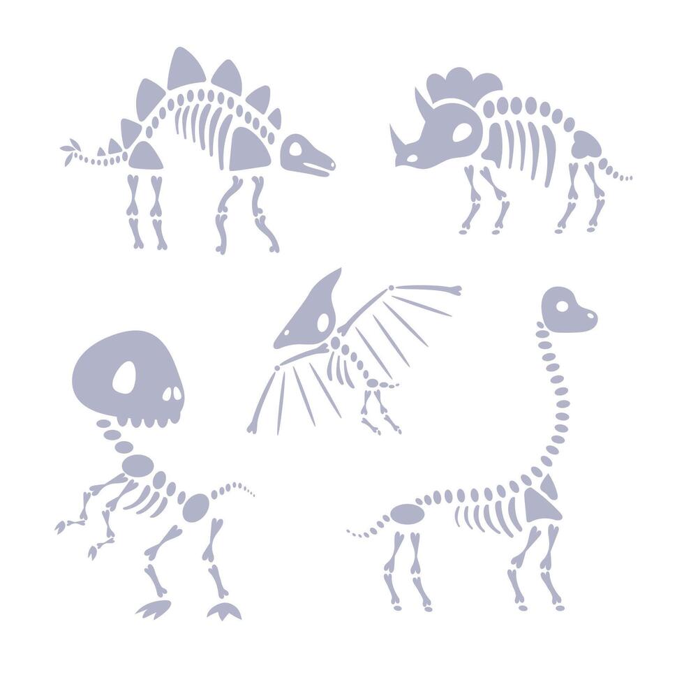 Set of five dinosaur skeletons standing on two legs with bones visible vector