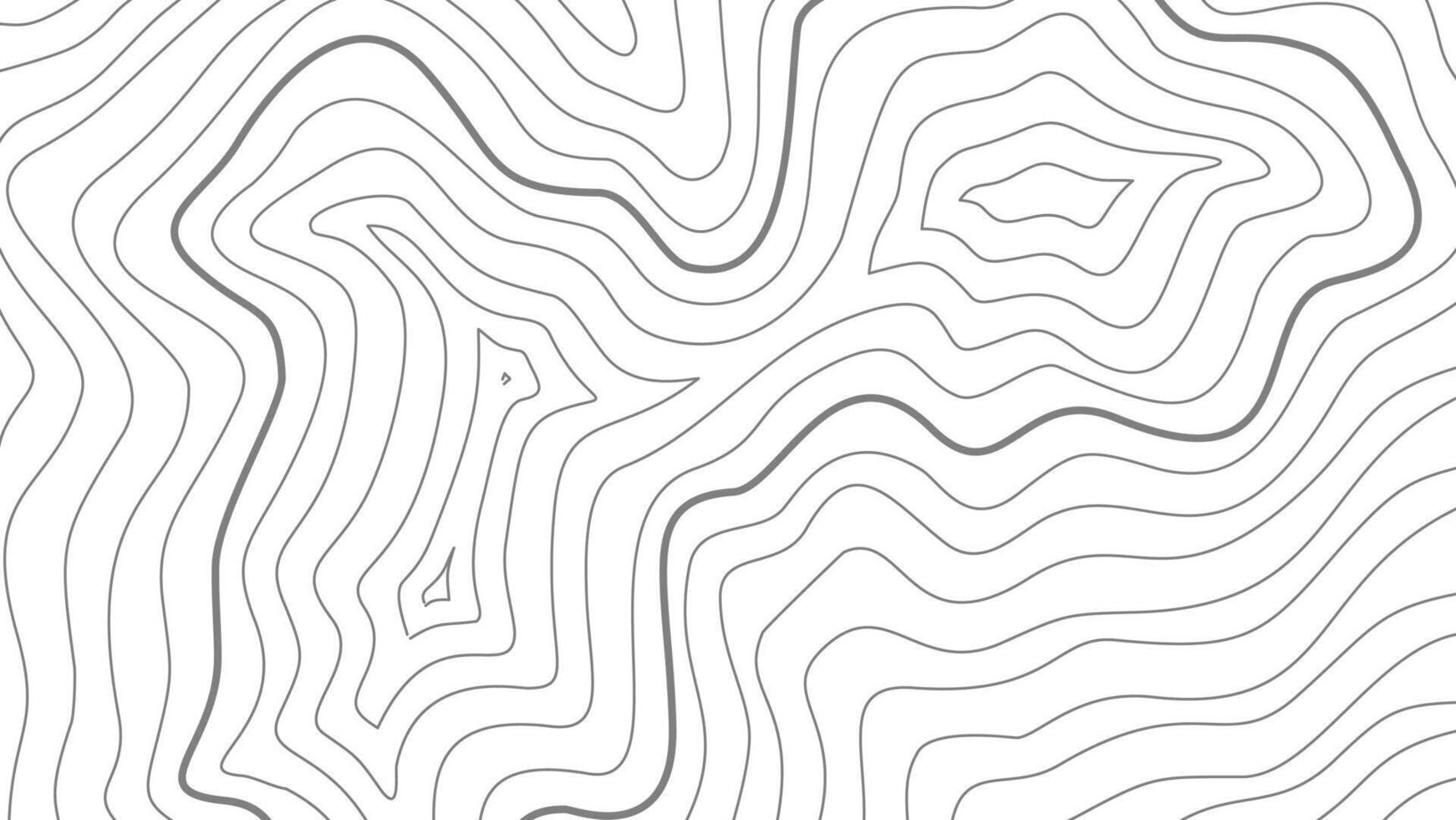 contour background. topographic contour background. Topographic map contour background. abstract wavy background. vector