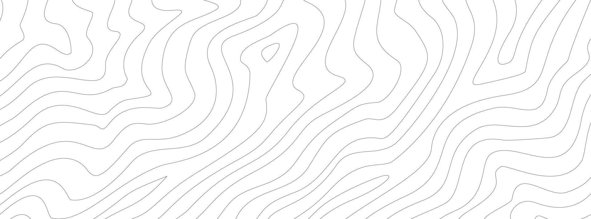abstract wavy background. topographic contour background. contour lines background. Topographic map contour background. vector
