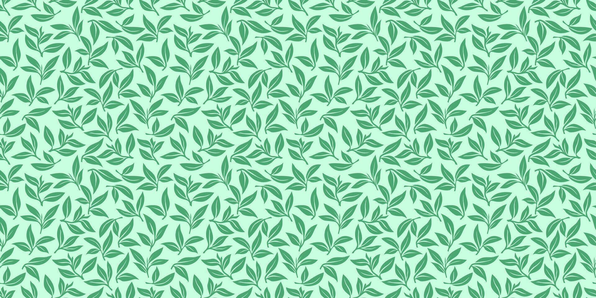 tea leaves pattern background. green leaves pattern background. Green tea leaf seamless pattern. seamless patterns with green leaves of tea. vector