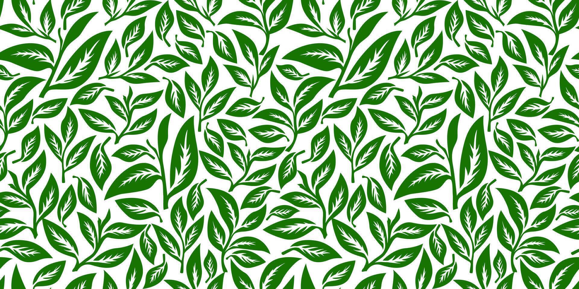 tea leaves pattern background. green leaves pattern background. Green tea leaf seamless pattern. seamless patterns with green leaves of tea. vector