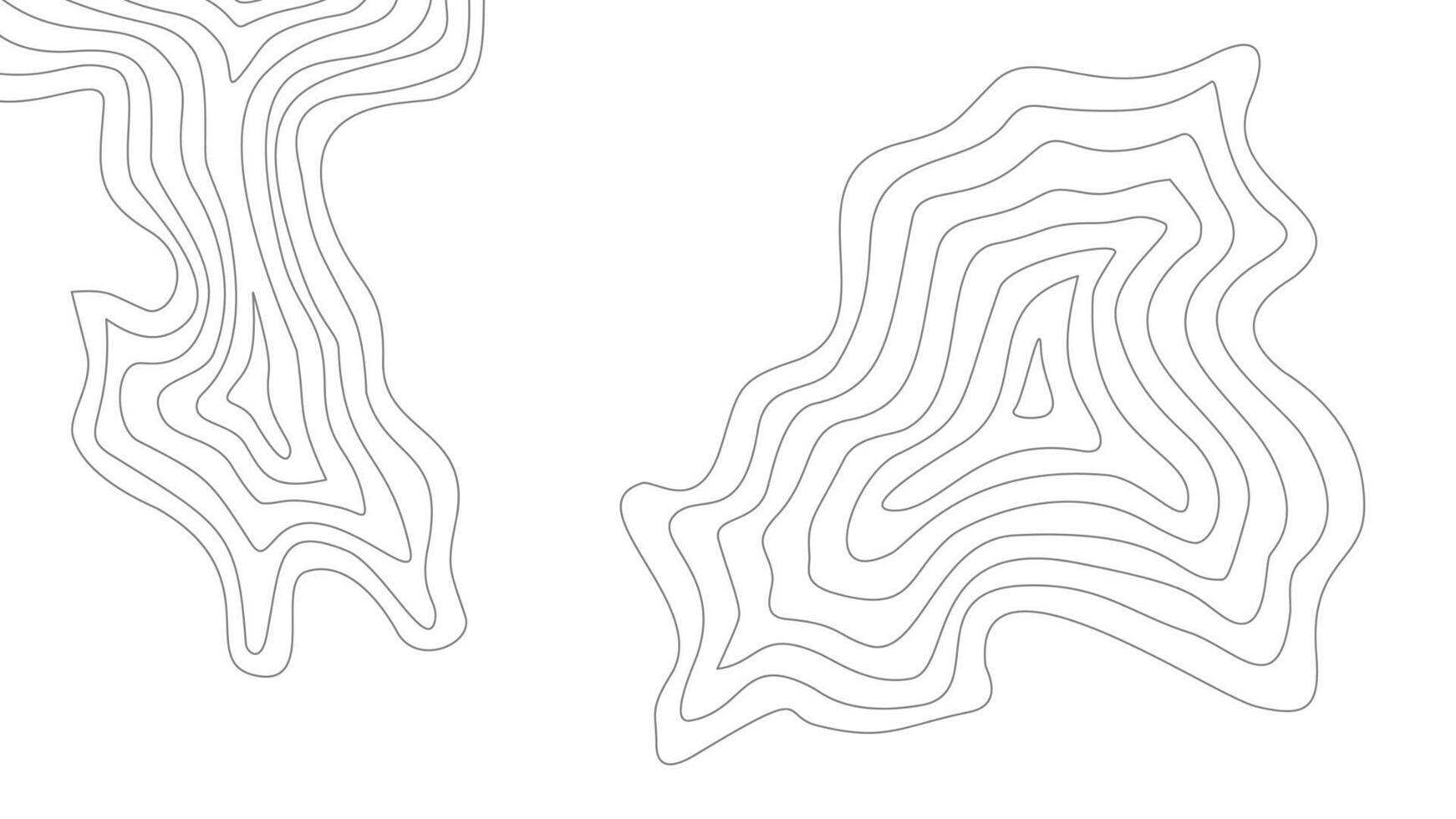 contour background. topographic contour background. Topographic map contour background. abstract wavy background. vector