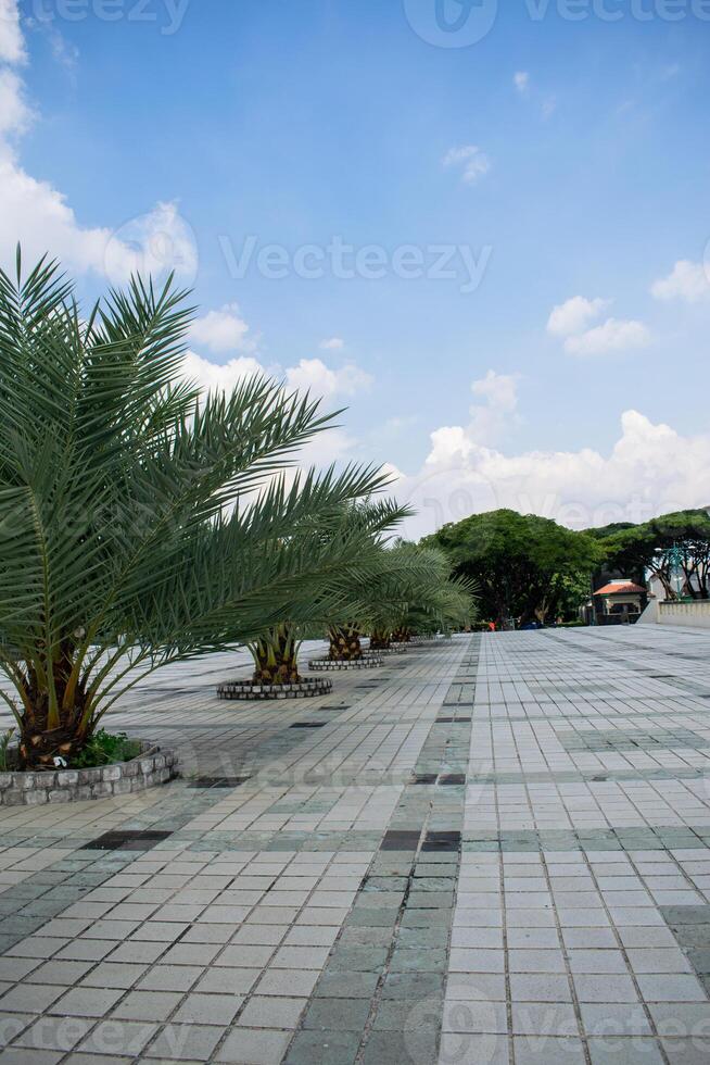 terrace of mosque central java with palm fruit and cloudy blue sky background photo