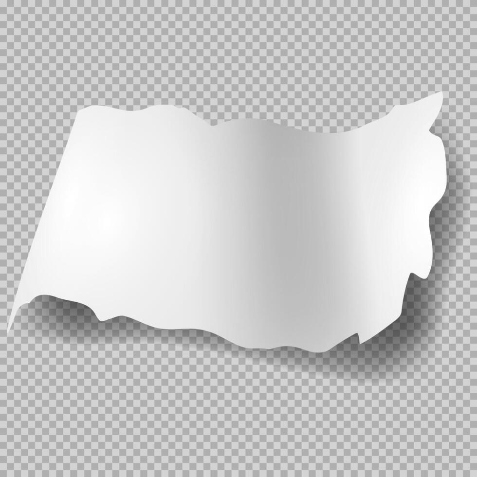 Realistic torn paper sheet. Ripped sheet of paper. Scrapbook edge, notebook tear or blank page. vector