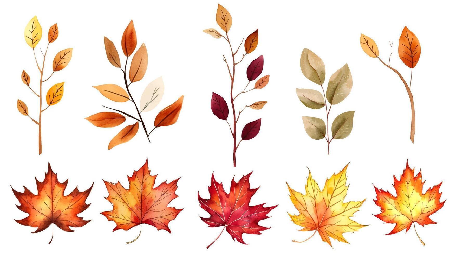 Set of watercolor autumn leaves and branches. Colorful maple and seasonal leaves. Autumnal illustration. vector