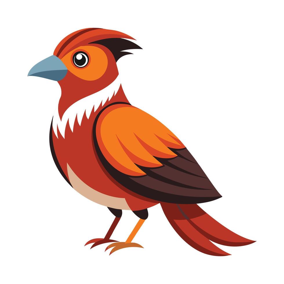 Bird illustration eps vector