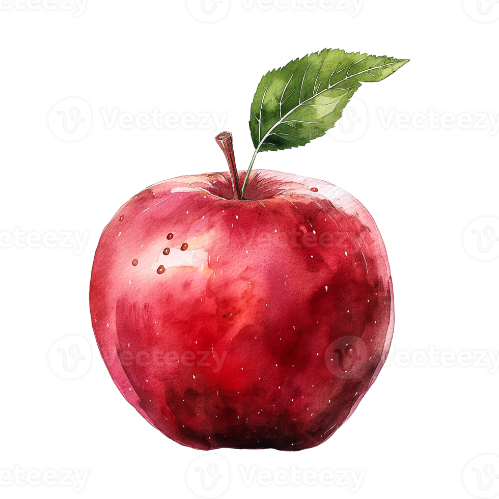 Red apple watercolor painted isolated on transparent background. png